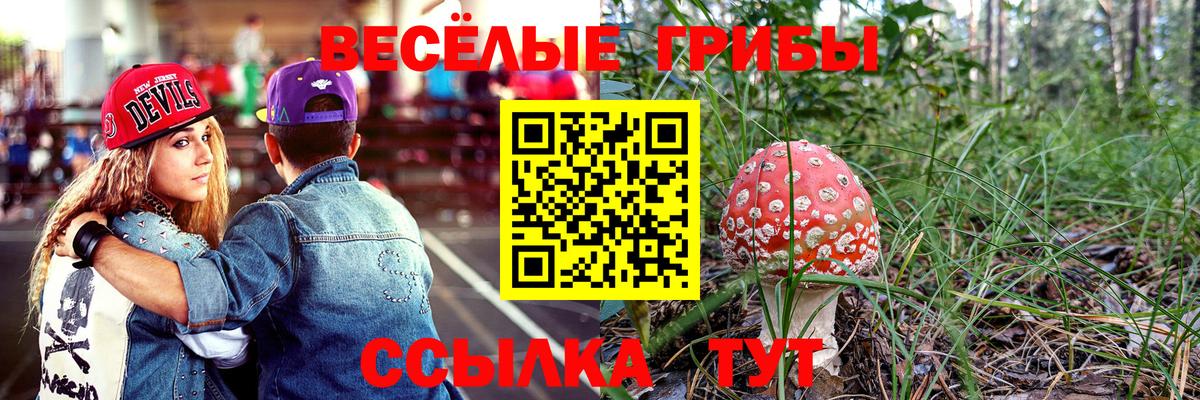 Галлюциногенные грибы Magic Shrooms  купить закладку  Верхняя Салда  Вход с VPN 